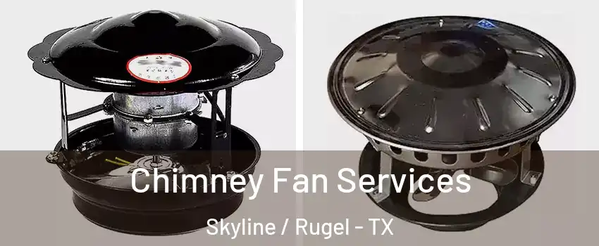 Chimney Fan Services Skyline / Rugel - TX