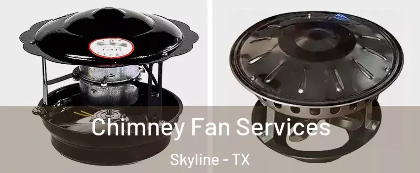 Chimney Fan Services Skyline - TX