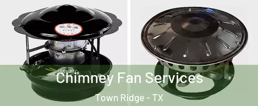 Chimney Fan Services Town Ridge - TX