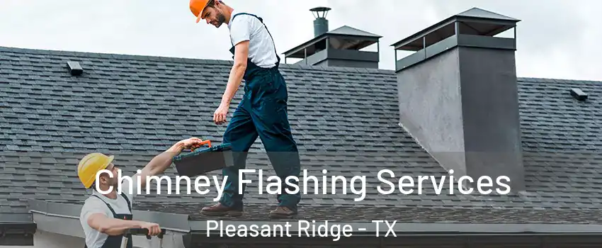 Chimney Flashing Services Pleasant Ridge - TX
