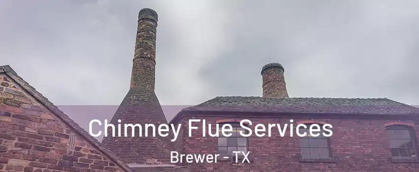 Chimney Flue Services Brewer - TX