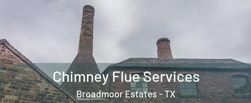 Chimney Flue Services Broadmoor Estates - TX