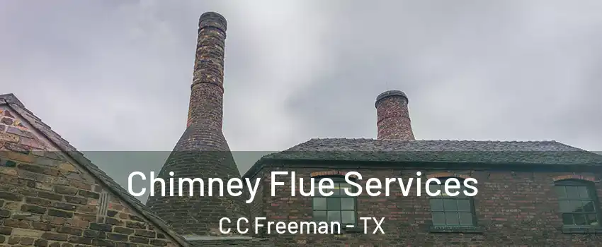 Chimney Flue Services C C Freeman - TX