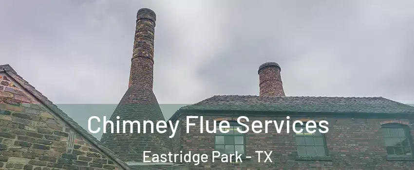 Chimney Flue Services Eastridge Park - TX