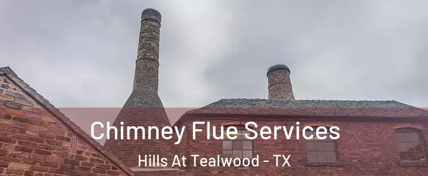 Chimney Flue Services Hills At Tealwood - TX