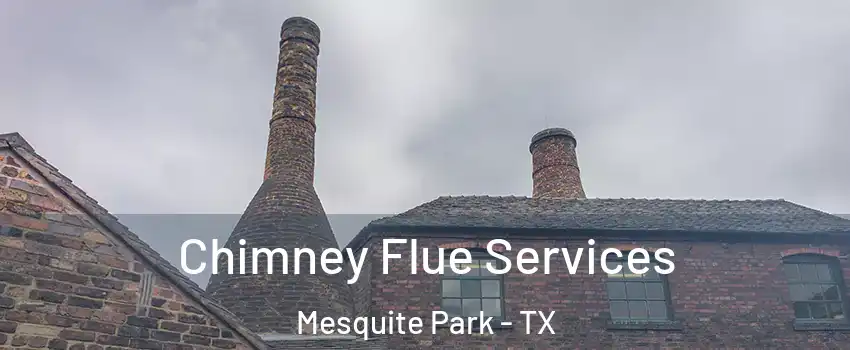 Chimney Flue Services Mesquite Park - TX