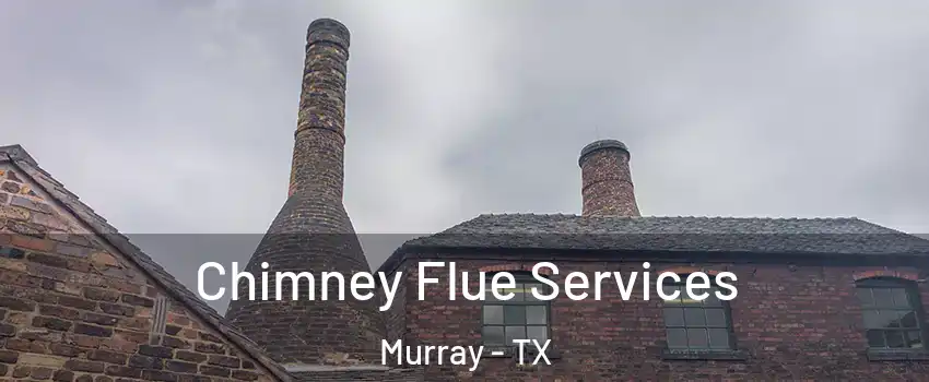 Chimney Flue Services Murray - TX