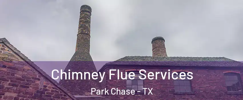 Chimney Flue Services Park Chase - TX
