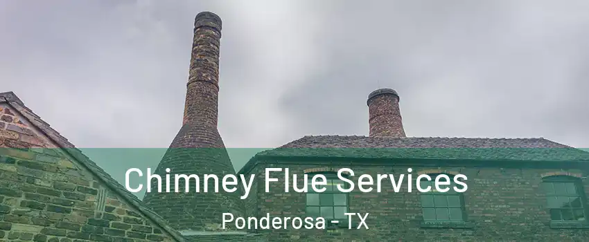 Chimney Flue Services Ponderosa - TX