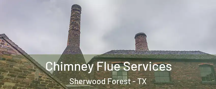 Chimney Flue Services Sherwood Forest - TX