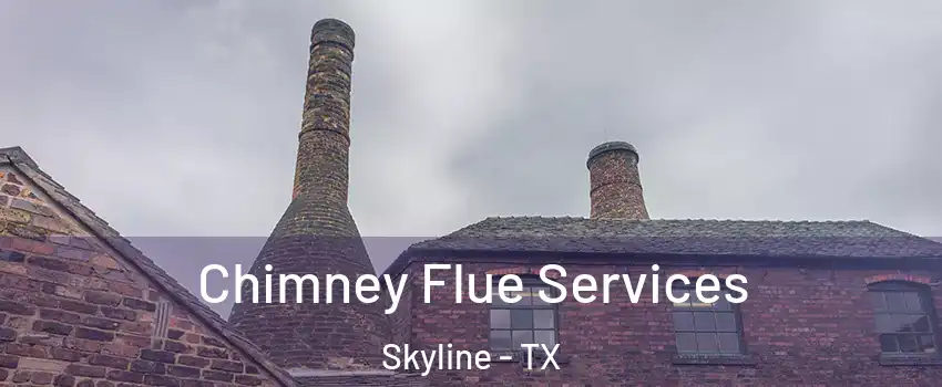 Chimney Flue Services Skyline - TX