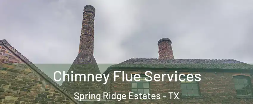 Chimney Flue Services Spring Ridge Estates - TX