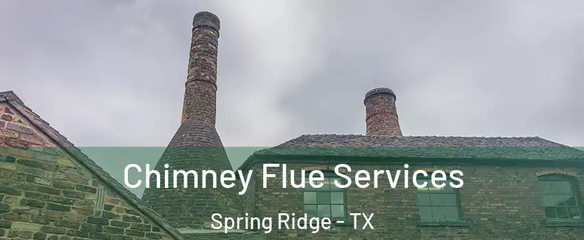 Chimney Flue Services Spring Ridge - TX