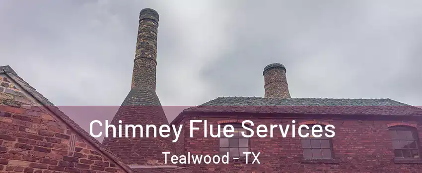 Chimney Flue Services Tealwood - TX