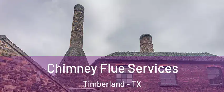 Chimney Flue Services Timberland - TX