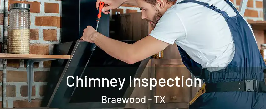Chimney Inspection Braewood - TX
