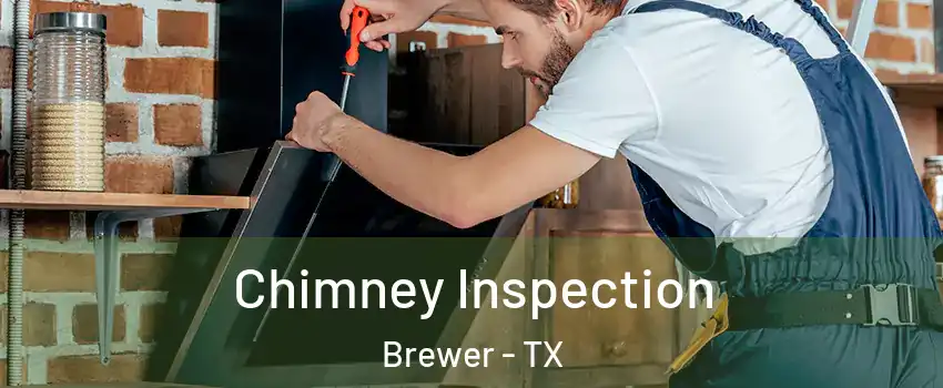 Chimney Inspection Brewer - TX