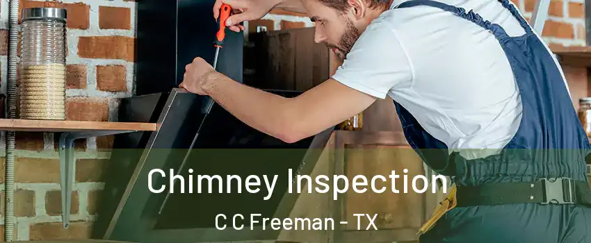 Chimney Inspection C C Freeman - TX