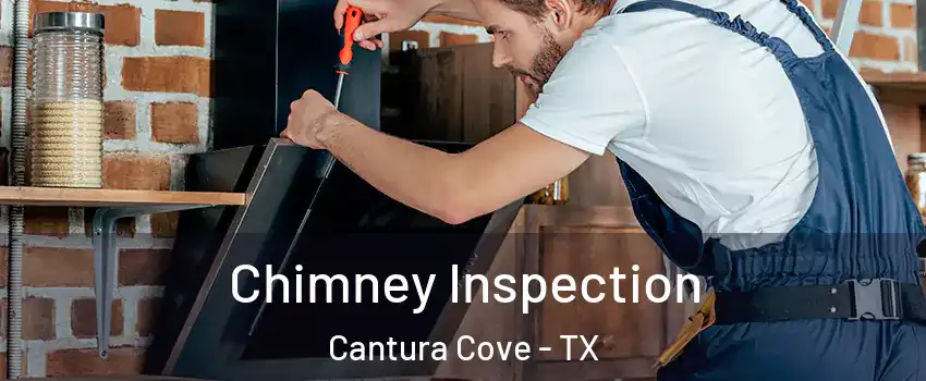 Chimney Inspection Cantura Cove - TX