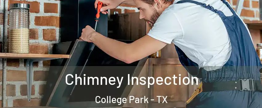 Chimney Inspection College Park - TX