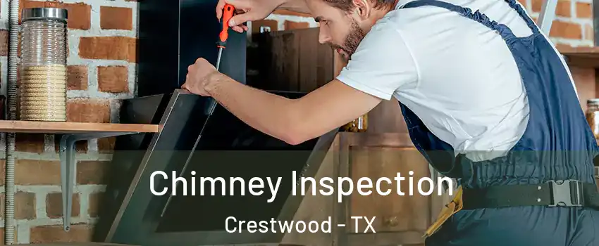 Chimney Inspection Crestwood - TX