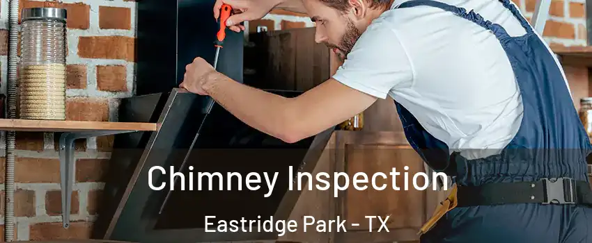 Chimney Inspection Eastridge Park - TX