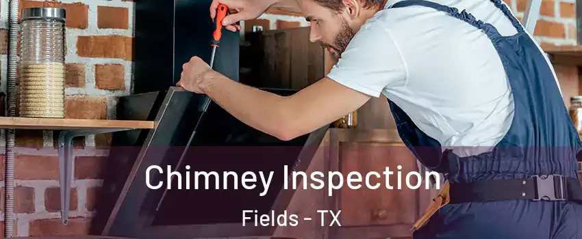 Chimney Inspection Fields - TX