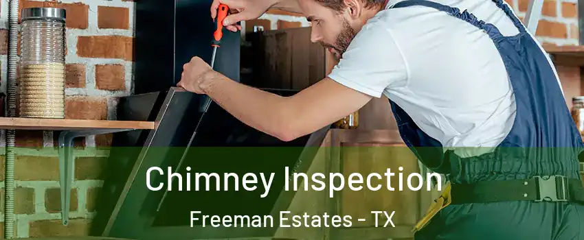 Chimney Inspection Freeman Estates - TX