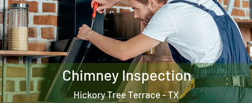 Chimney Inspection Hickory Tree Terrace - TX