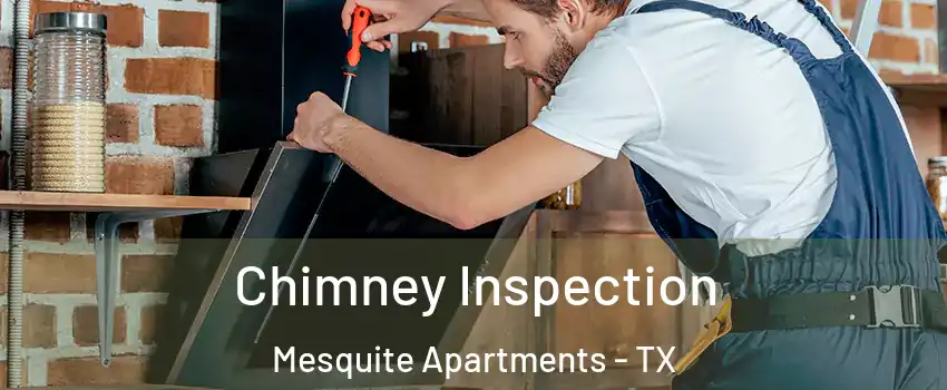 Chimney Inspection Mesquite Apartments - TX
