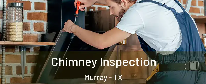 Chimney Inspection Murray - TX