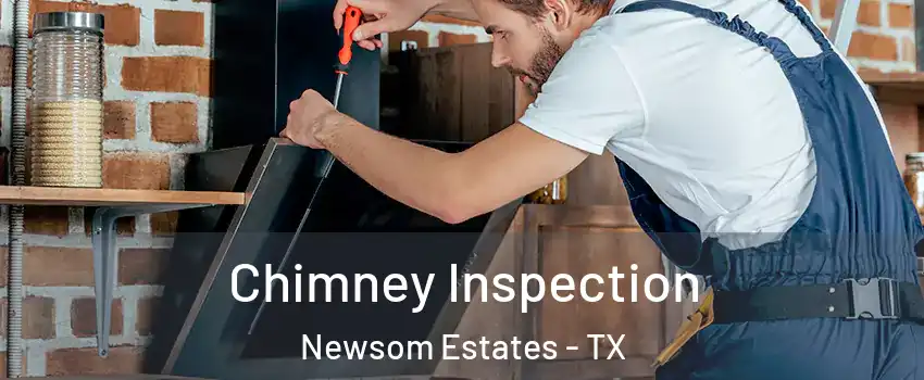 Chimney Inspection Newsom Estates - TX