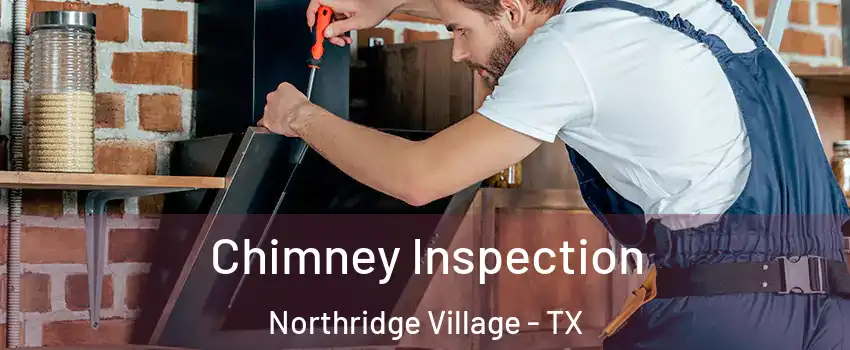 Chimney Inspection Northridge Village - TX