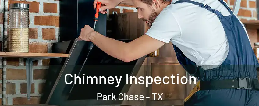 Chimney Inspection Park Chase - TX