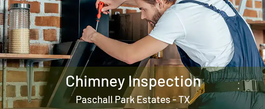 Chimney Inspection Paschall Park Estates - TX