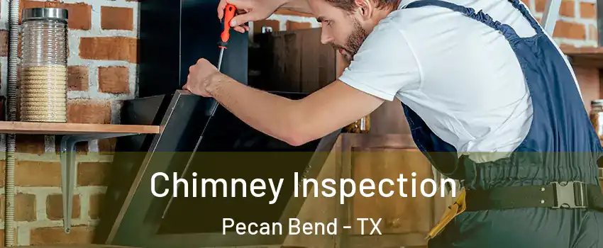 Chimney Inspection Pecan Bend - TX