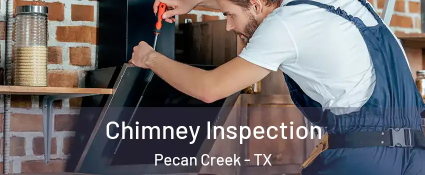Chimney Inspection Pecan Creek - TX