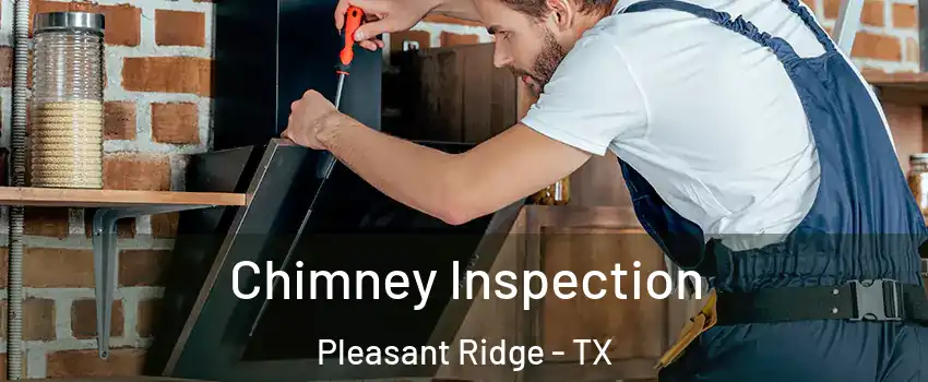 Chimney Inspection Pleasant Ridge - TX