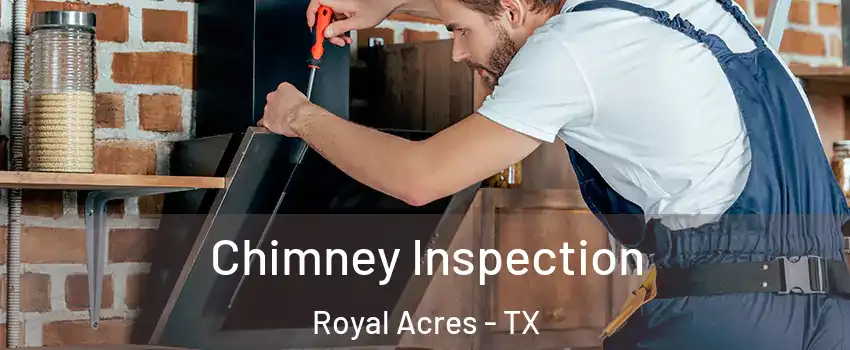 Chimney Inspection Royal Acres - TX