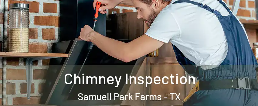 Chimney Inspection Samuell Park Farms - TX