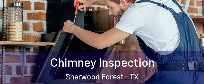 Chimney Inspection Sherwood Forest - TX