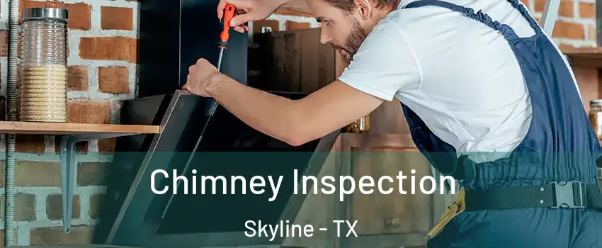 Chimney Inspection Skyline - TX