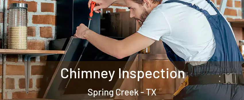 Chimney Inspection Spring Creek - TX