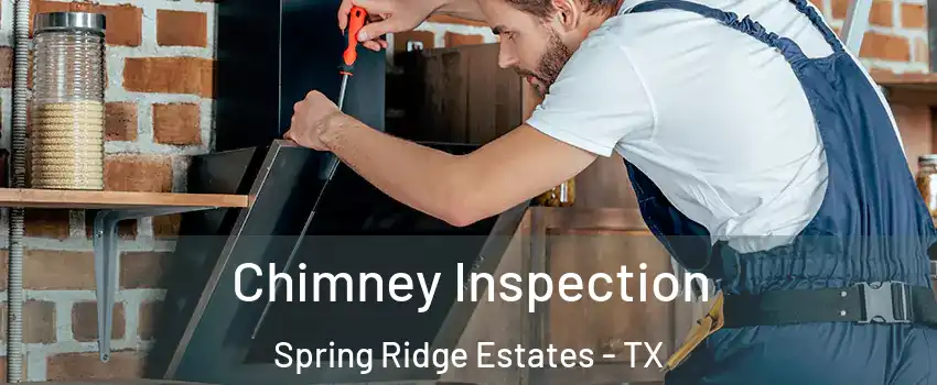 Chimney Inspection Spring Ridge Estates - TX