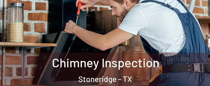 Chimney Inspection Stoneridge - TX
