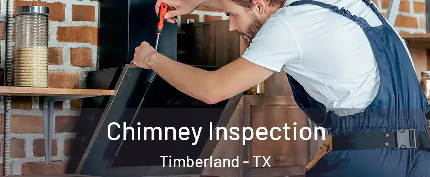 Chimney Inspection Timberland - TX