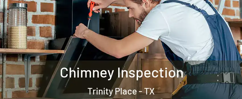Chimney Inspection Trinity Place - TX