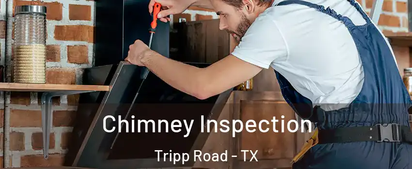 Chimney Inspection Tripp Road - TX