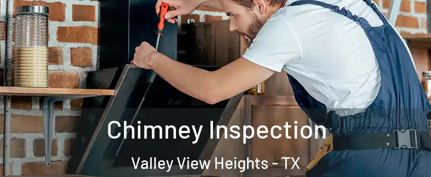 Chimney Inspection Valley View Heights - TX