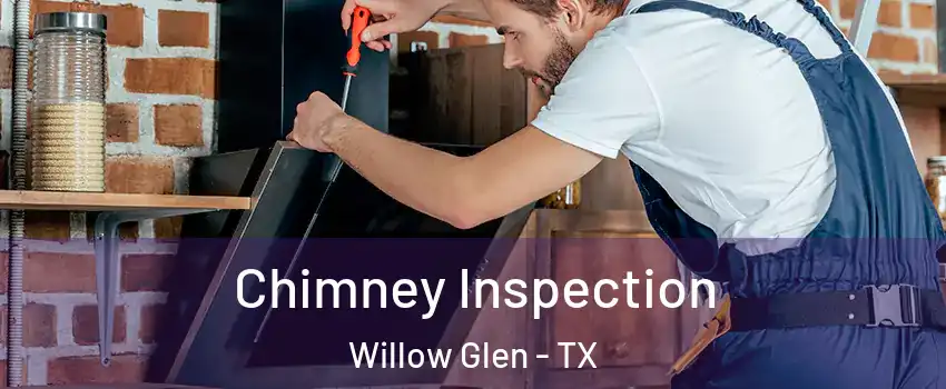 Chimney Inspection Willow Glen - TX